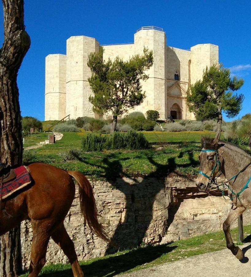 Casa Vacanza Dei Greci 巴列塔 外观 照片
